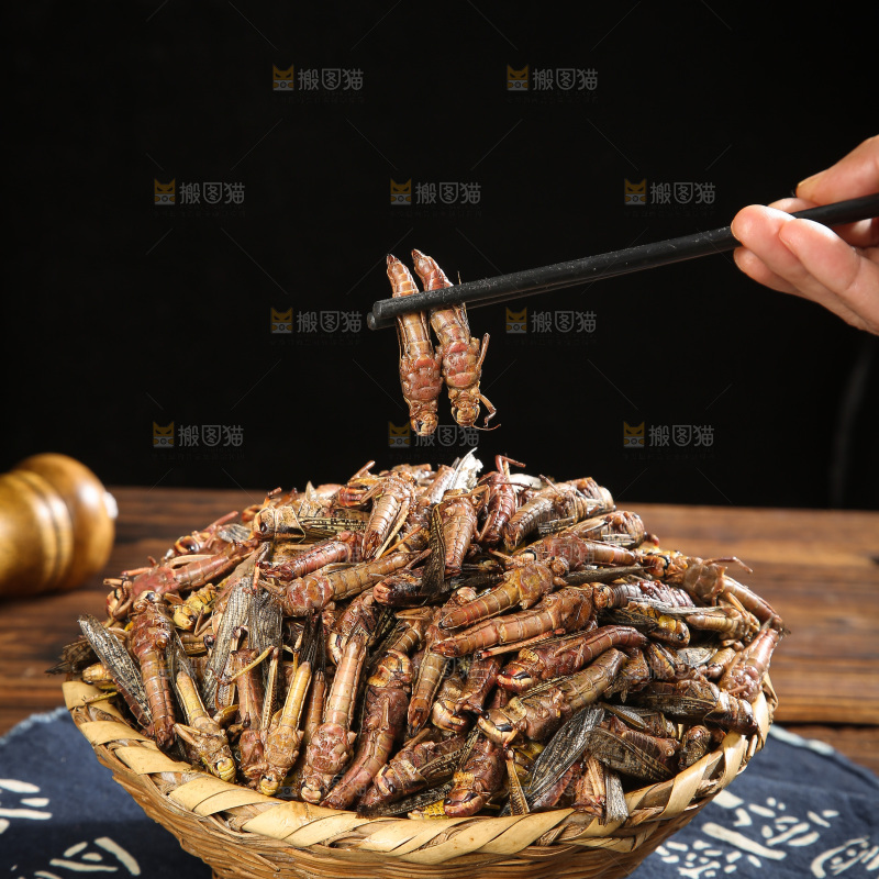 深底上的蚂蚱