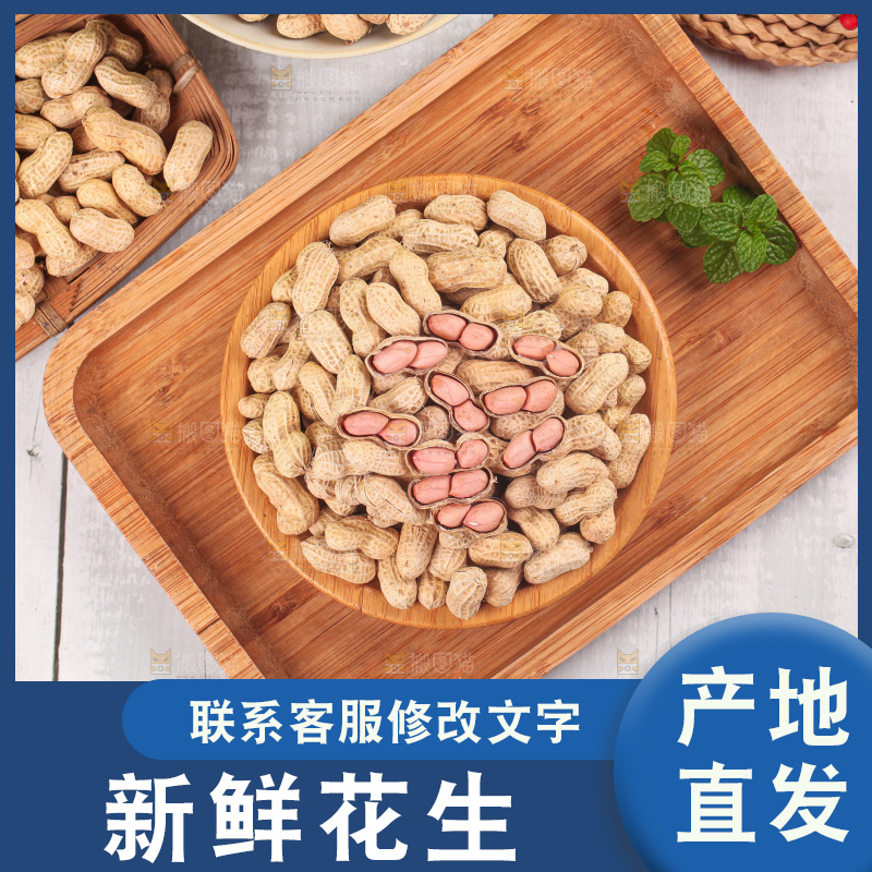浅底上的生花生
