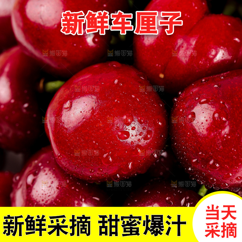 浅底上的车厘子