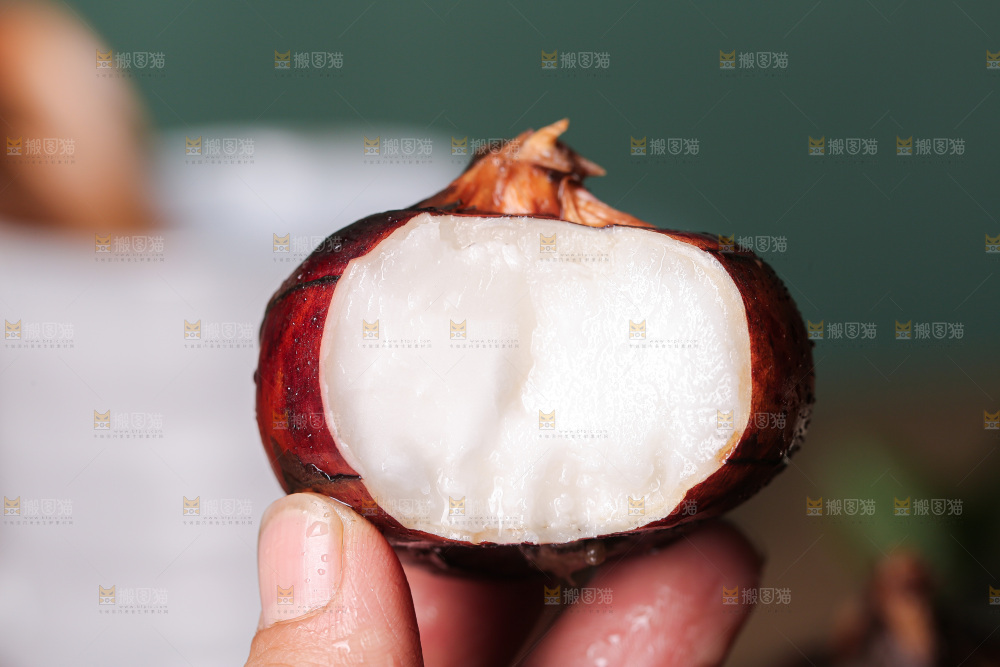 深底上的马蹄