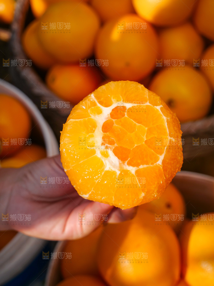 赣南脐橙