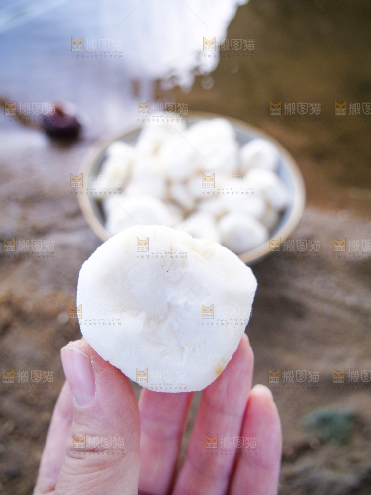 浅底上的马蹄