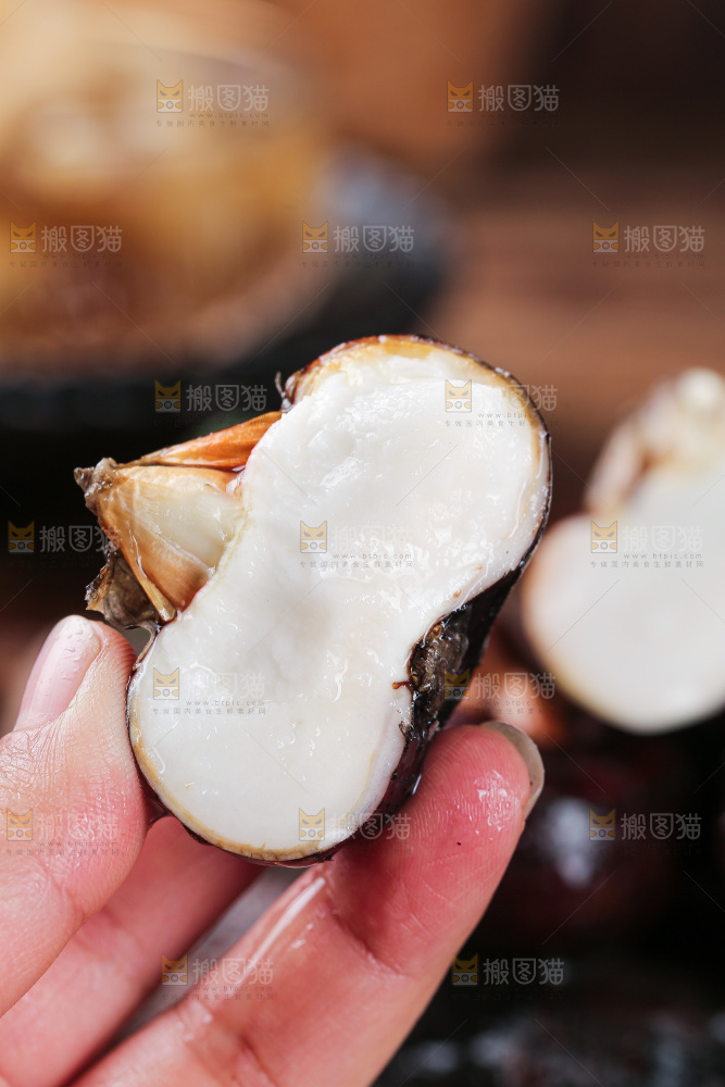 深底上的马蹄