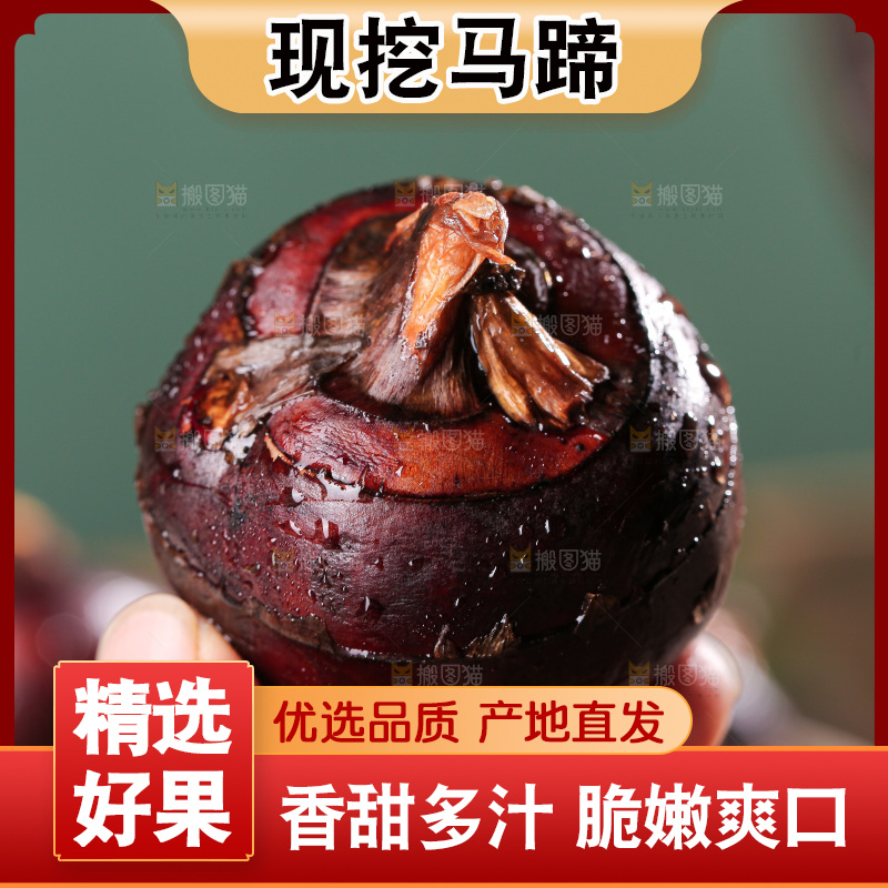 深底上的马蹄