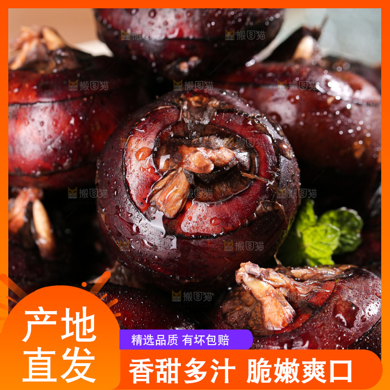 深底上的马蹄