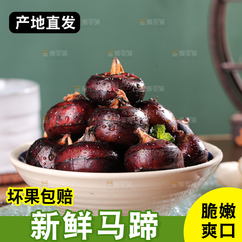 深底上的马蹄