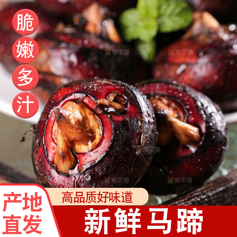 深底上的马蹄