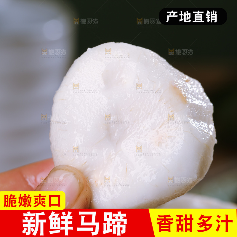 深底上的马蹄