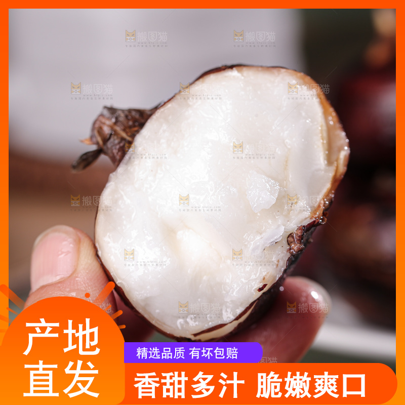 深底上的马蹄