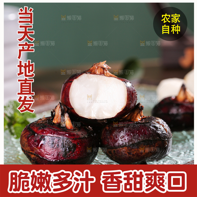 深底上的马蹄
