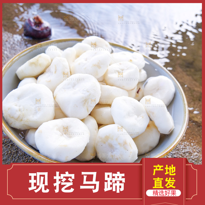 浅底上的马蹄