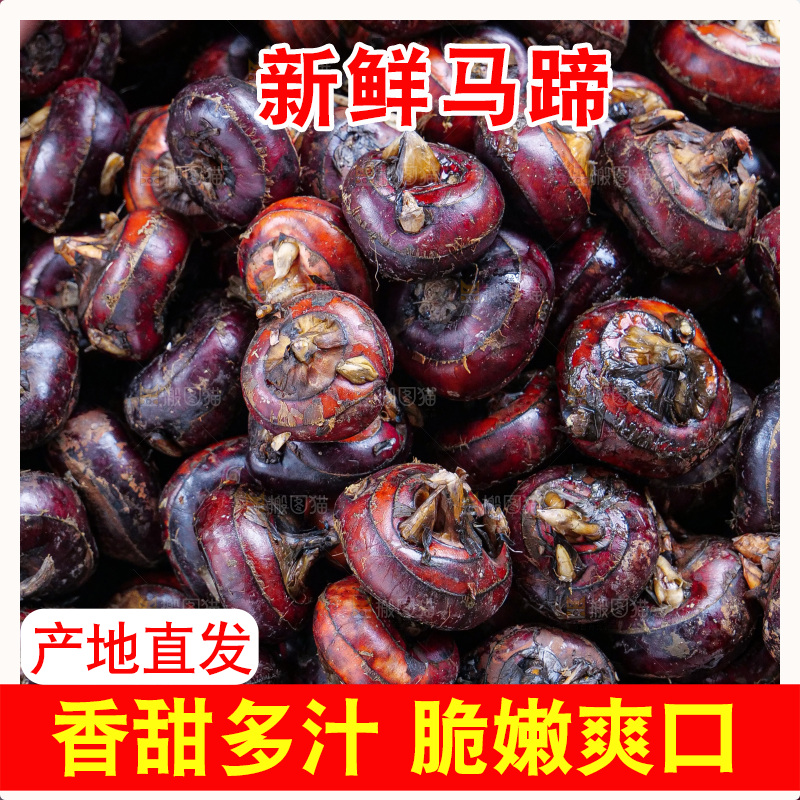 浅底上的马蹄