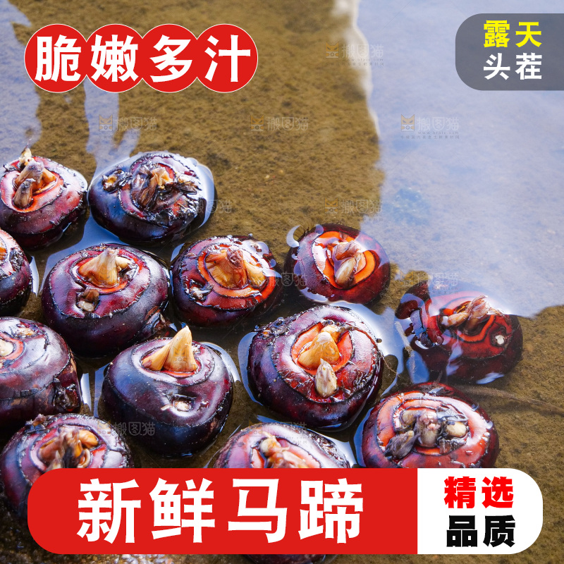 浅底上的马蹄