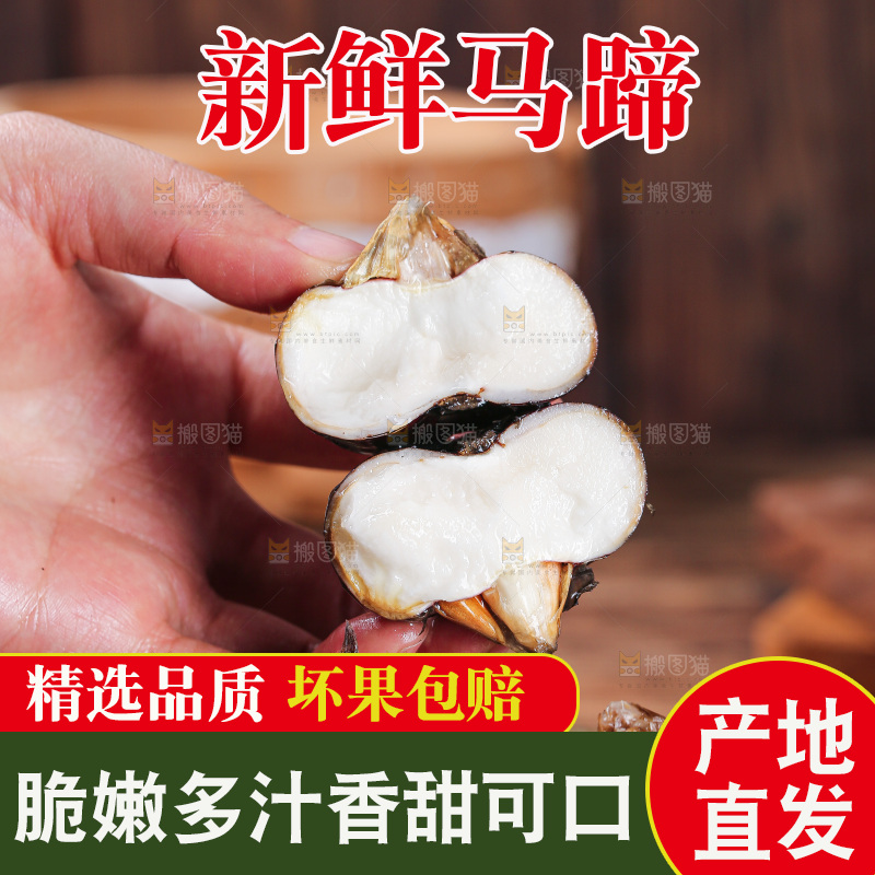 深底上的马蹄