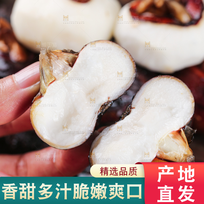 深底上的马蹄