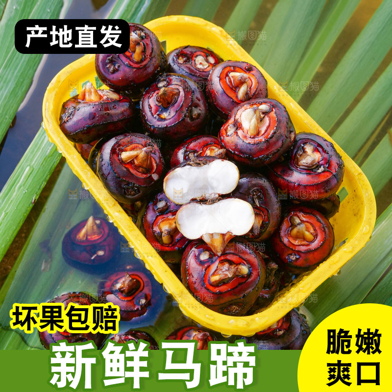 浅底上的马蹄