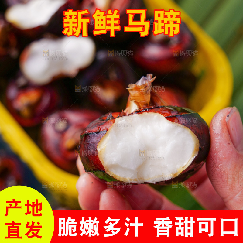 浅底上的马蹄