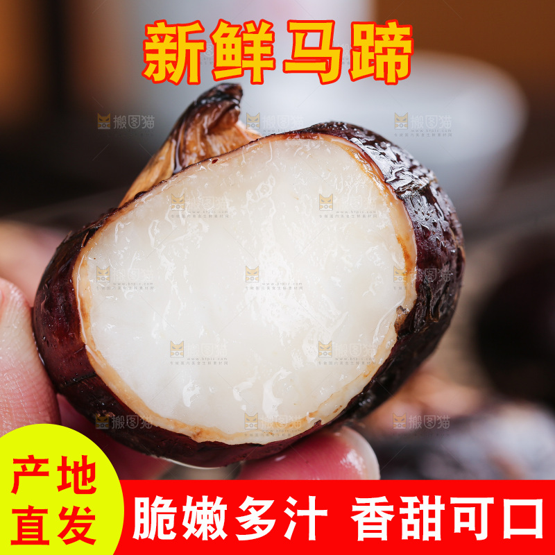 深底上的马蹄