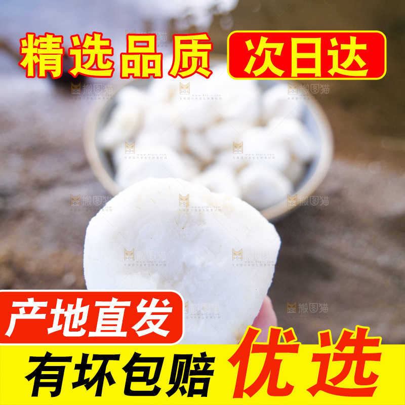 浅底上的马蹄