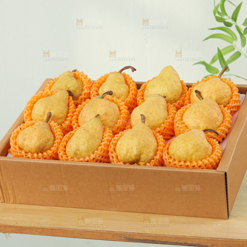 浅底上的新鲜丑梨