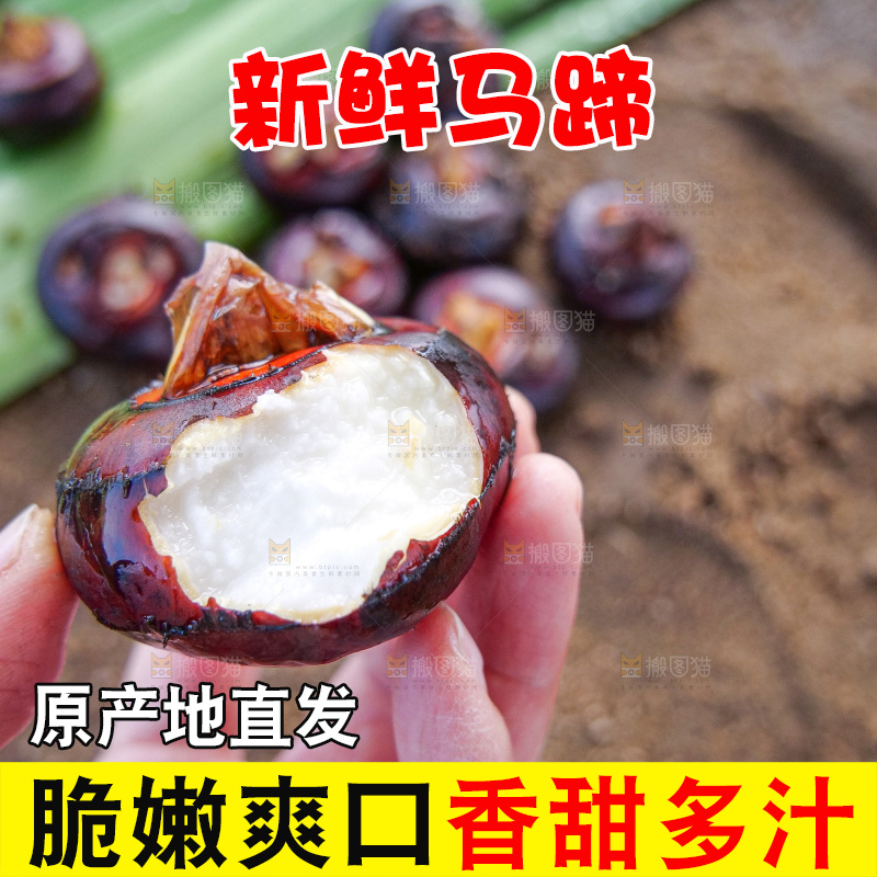 浅底上的马蹄
