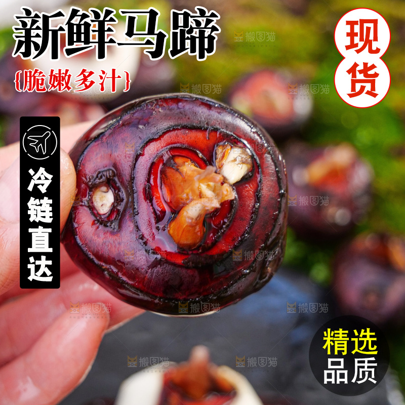 深底上的马蹄