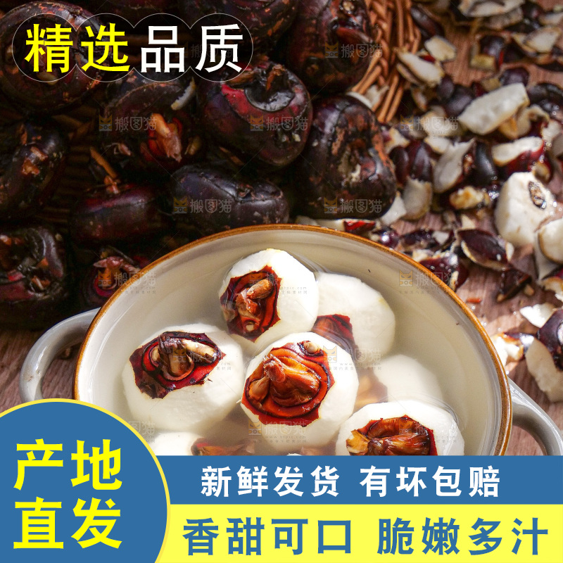 深底上的马蹄