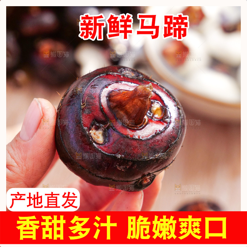 深底上的马蹄