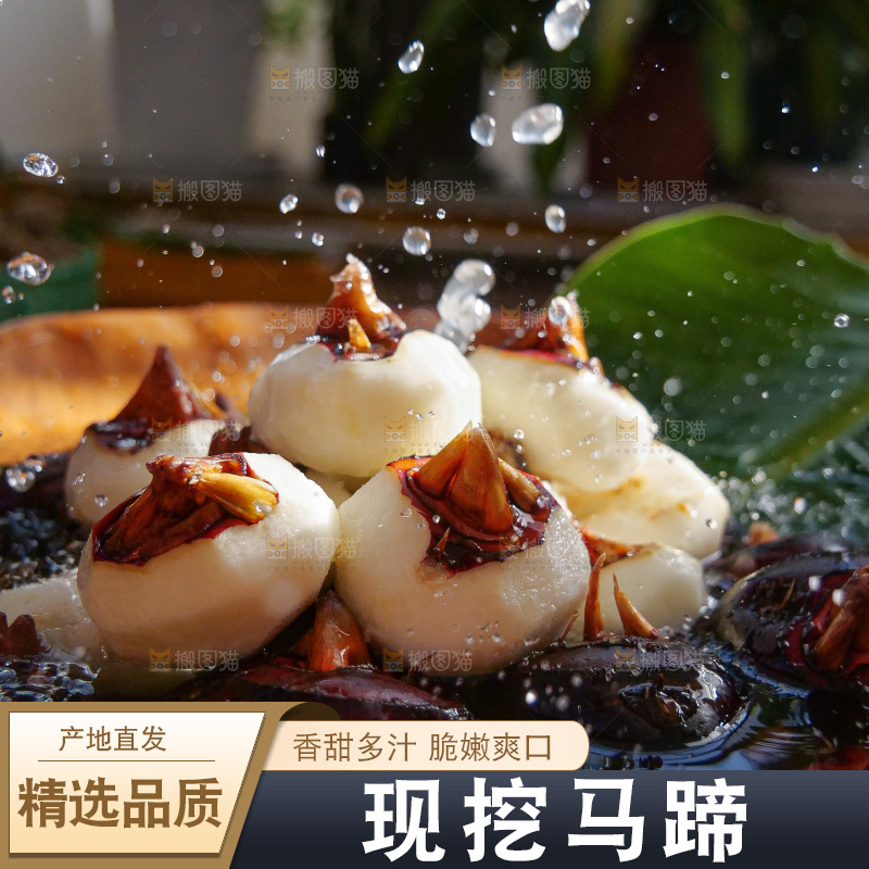 深底上的马蹄