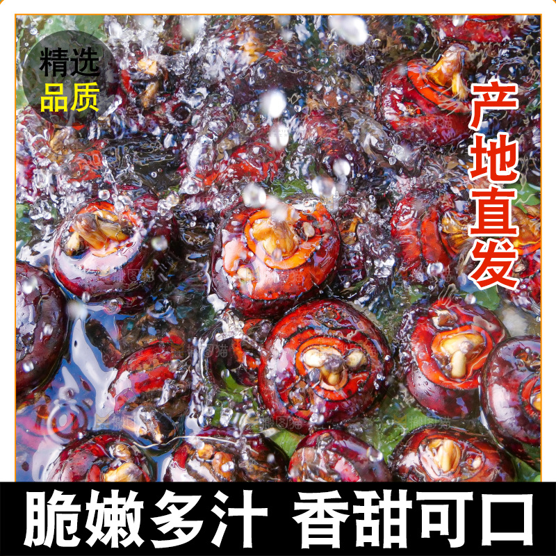 浅底上的马蹄