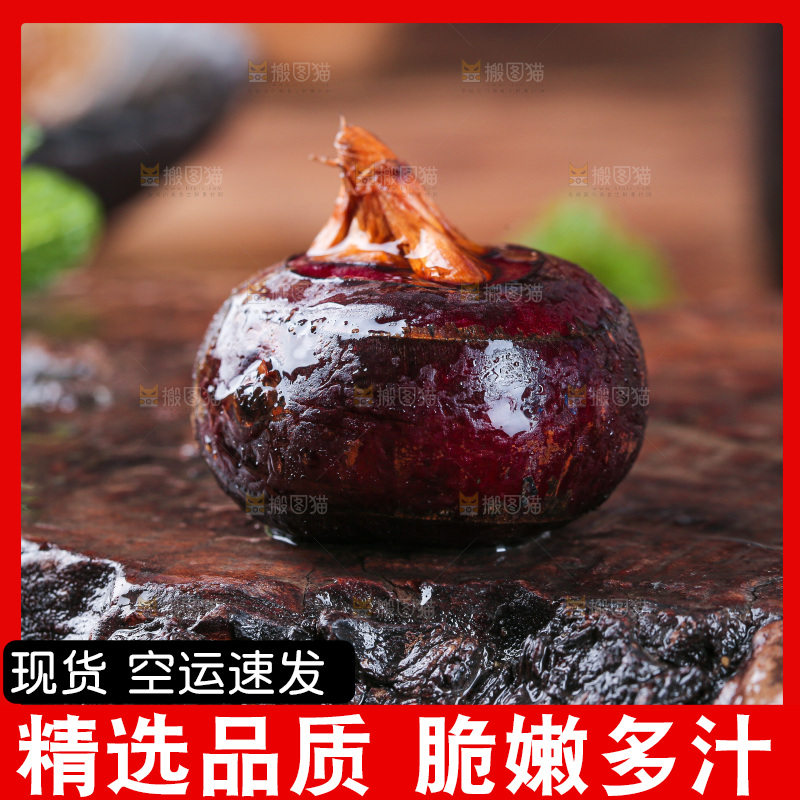 深底上的马蹄