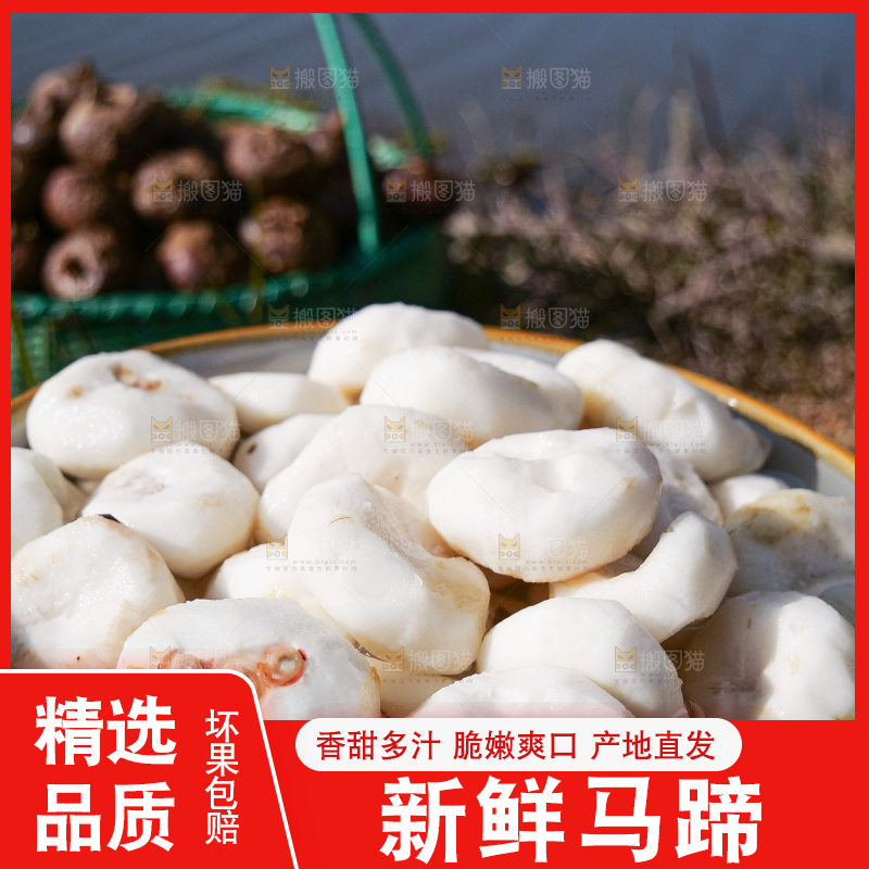 浅底上的马蹄
