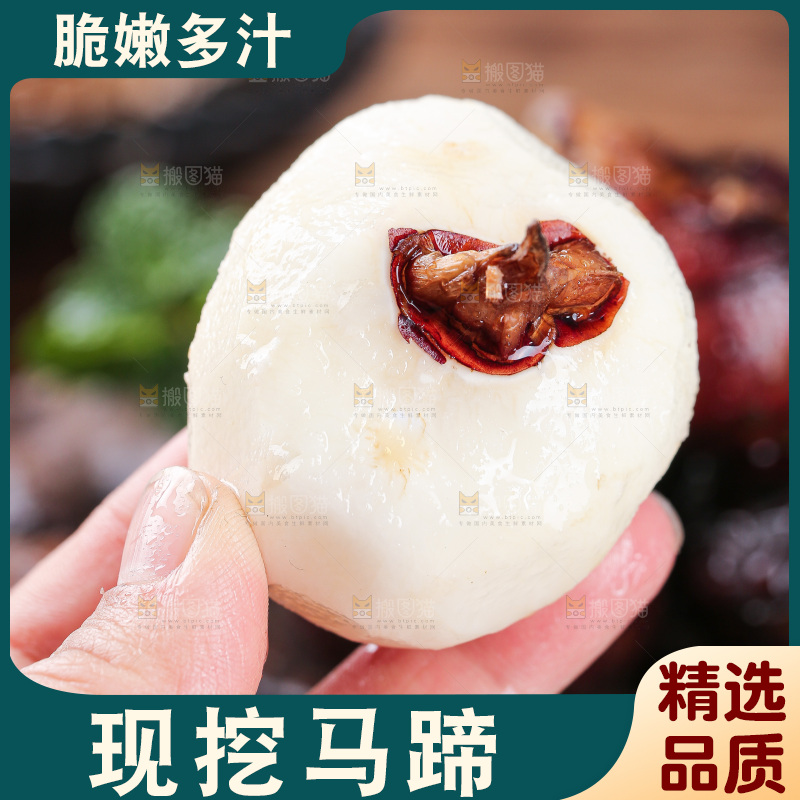 深底上的马蹄