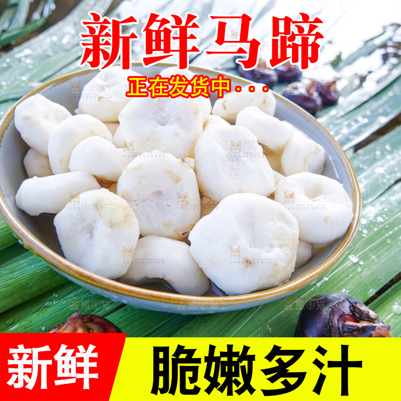 浅底上的马蹄
