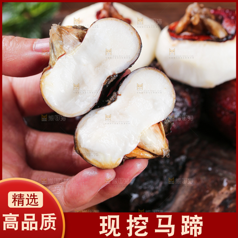 深底上的马蹄