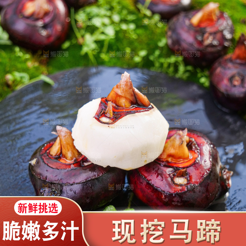 深底上的马蹄