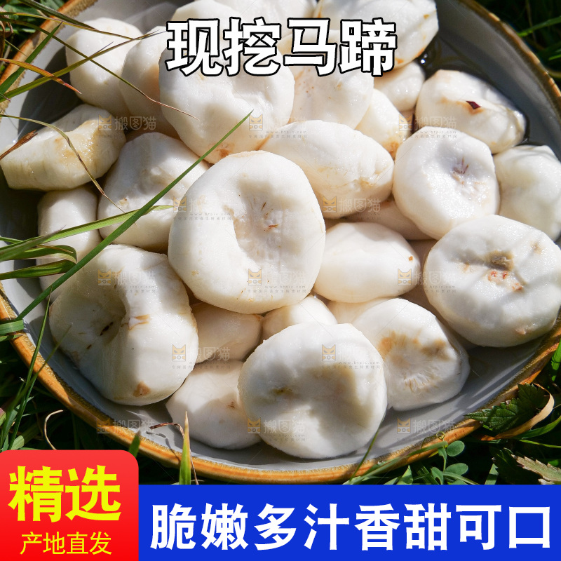 浅底上的马蹄