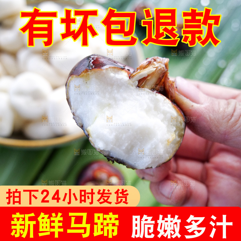 浅底上的马蹄