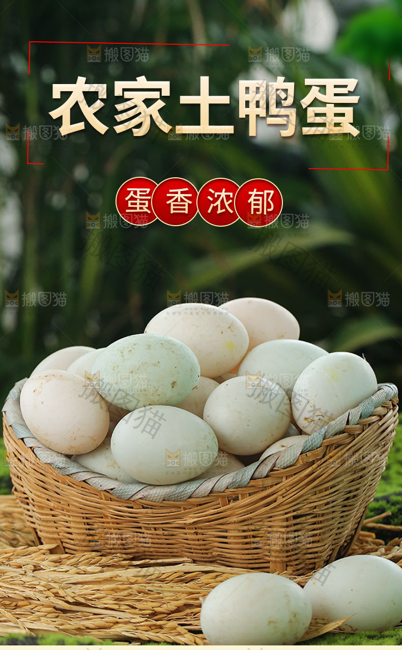 新鲜土鸭蛋详情页