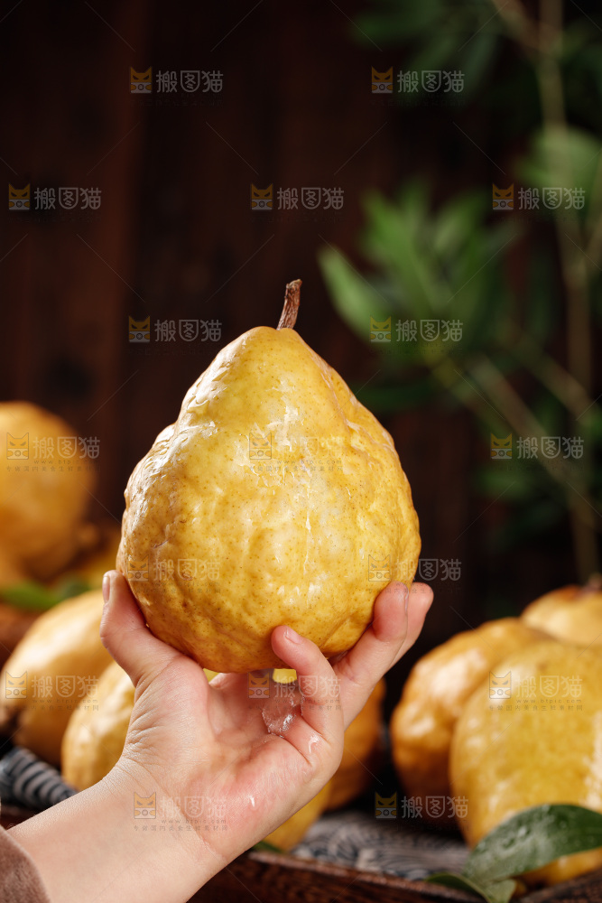 深底上的丑梨