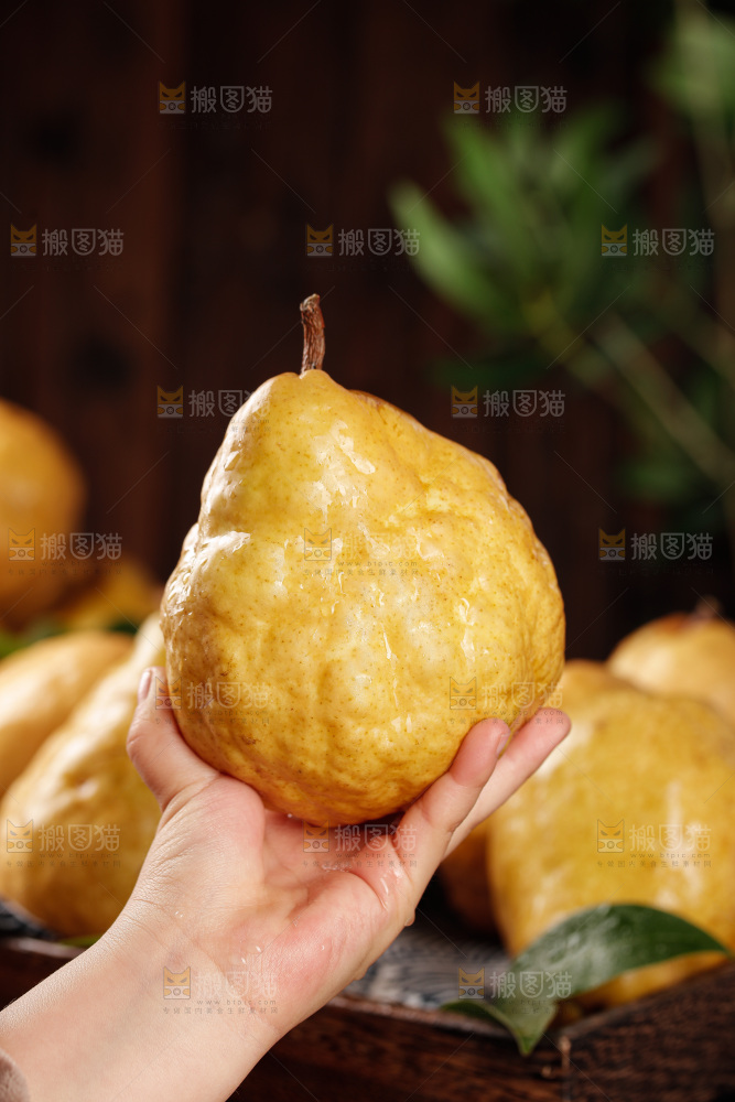 深底上的丑梨