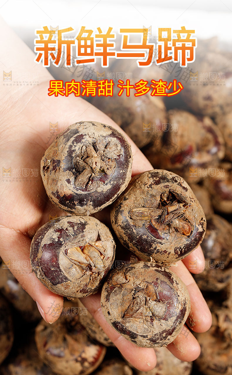 新鲜马蹄详情页