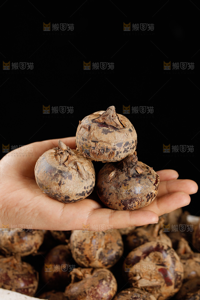 深底上的马蹄