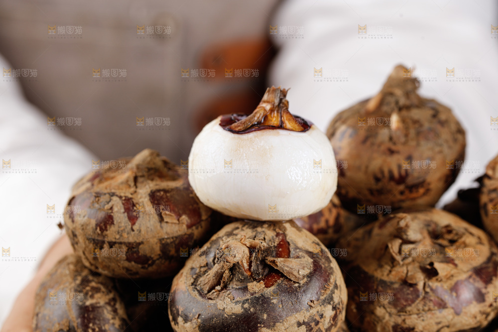 深底上的马蹄