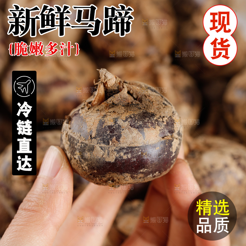 深底上的马蹄