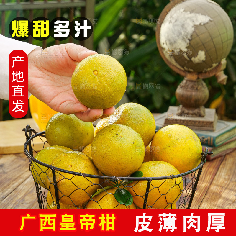 手里拿着皇帝柑