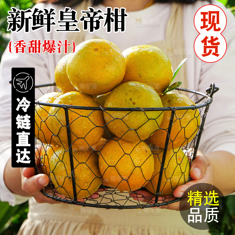 手里拿着皇帝柑