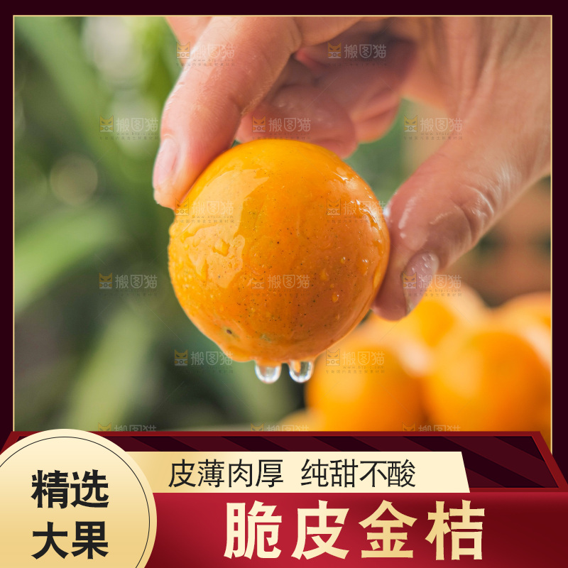 浅底上的小金桔