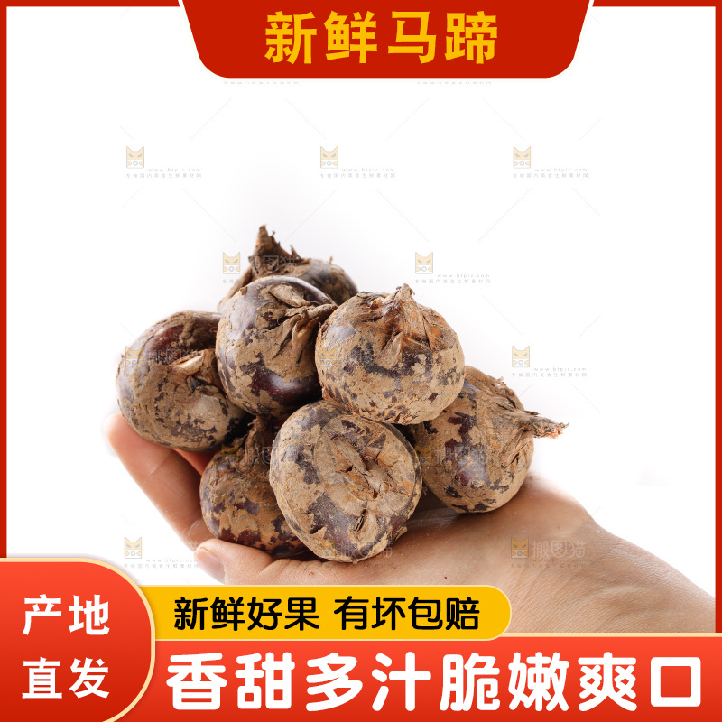 白底上的马蹄