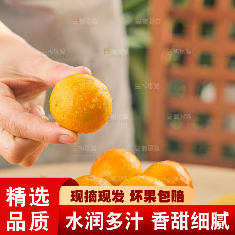 浅底上的小金桔
